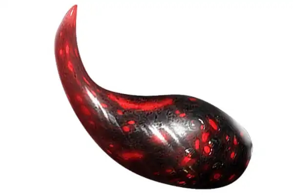 kuva farm