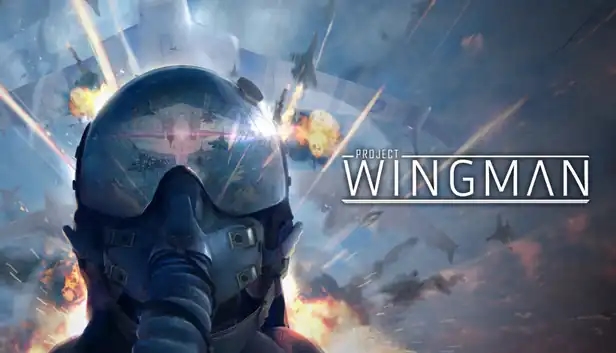 Project Wingman