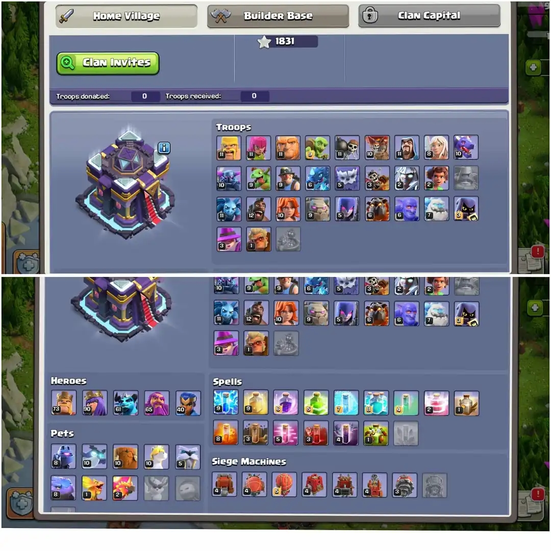 AWESOME TH 15 ACC✦DFC MAX TIPE✦HERO|73|90|61|65|40✦NC YES✦EPIC WOW✦3 HERO SKIN✦6B✦217 LEVEL✦PET SIEGE WOW - Global