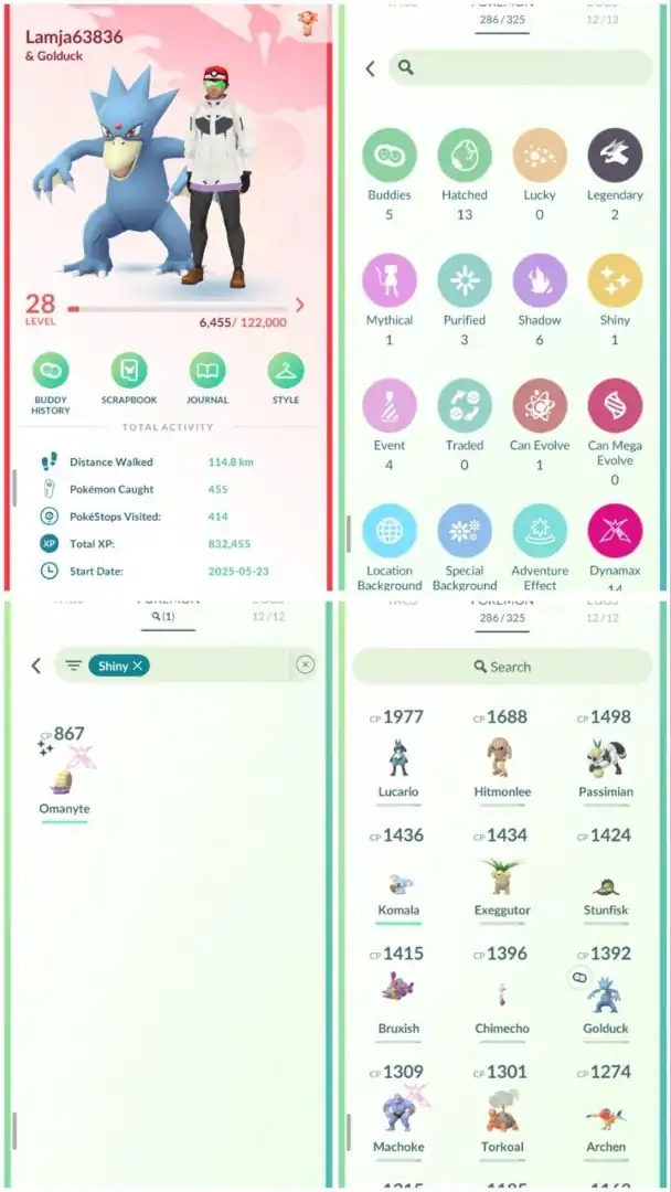 R107 | Level28 | 2 Legendary | 1 Shiny Dmax | Lucario | 14 Dmax | Mini account - Global
