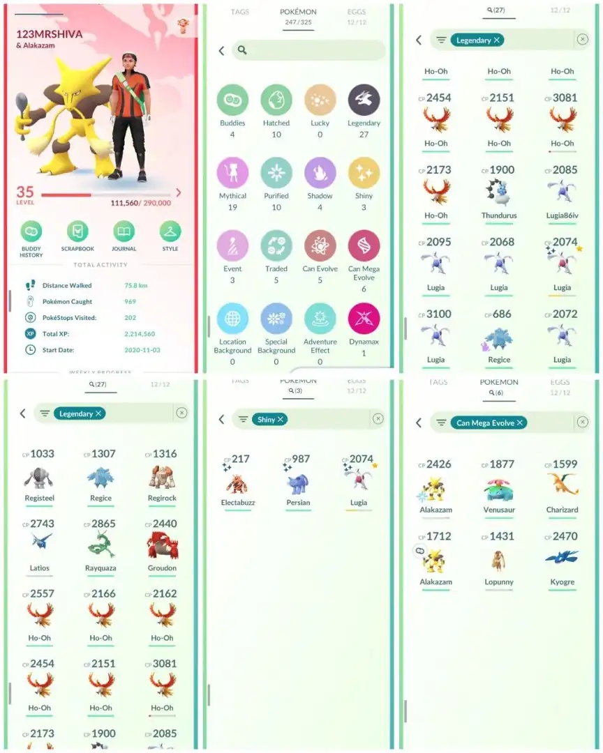 R84 | Level35 | 27 Legendary | 3 Shiny | Shiny Lugia | Rayquaza | Ho-oh | Mega Kyogre | Mega Charizard | Groudon | Stacked Account - Global