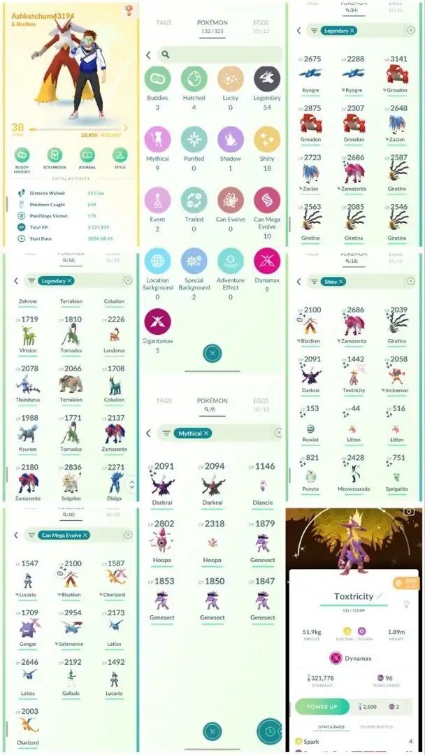 R81 | Level38 | 54 Legendary | 18 Shiny | 2 Shiny Legend | Shiny Zamazenta | Shiny Giratina | Mega Lucario | Shiny Dmax Special  | - Global