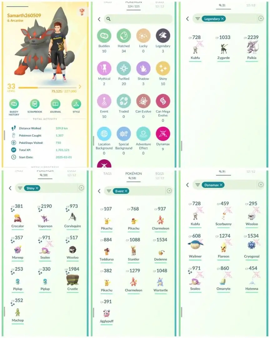 R80 | Level33 | 3 Legendary | 10 Shiny | 1 Shiny Dmax | 9 Dmax | 10 Costume Pokemons | Starter Cheap Account - Global