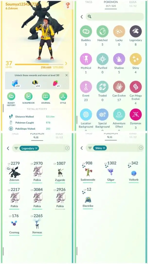 R67 | Level37 | 8 Legendary | 4 Shiny | Cosmong | Zekrom | Starter Account - Global