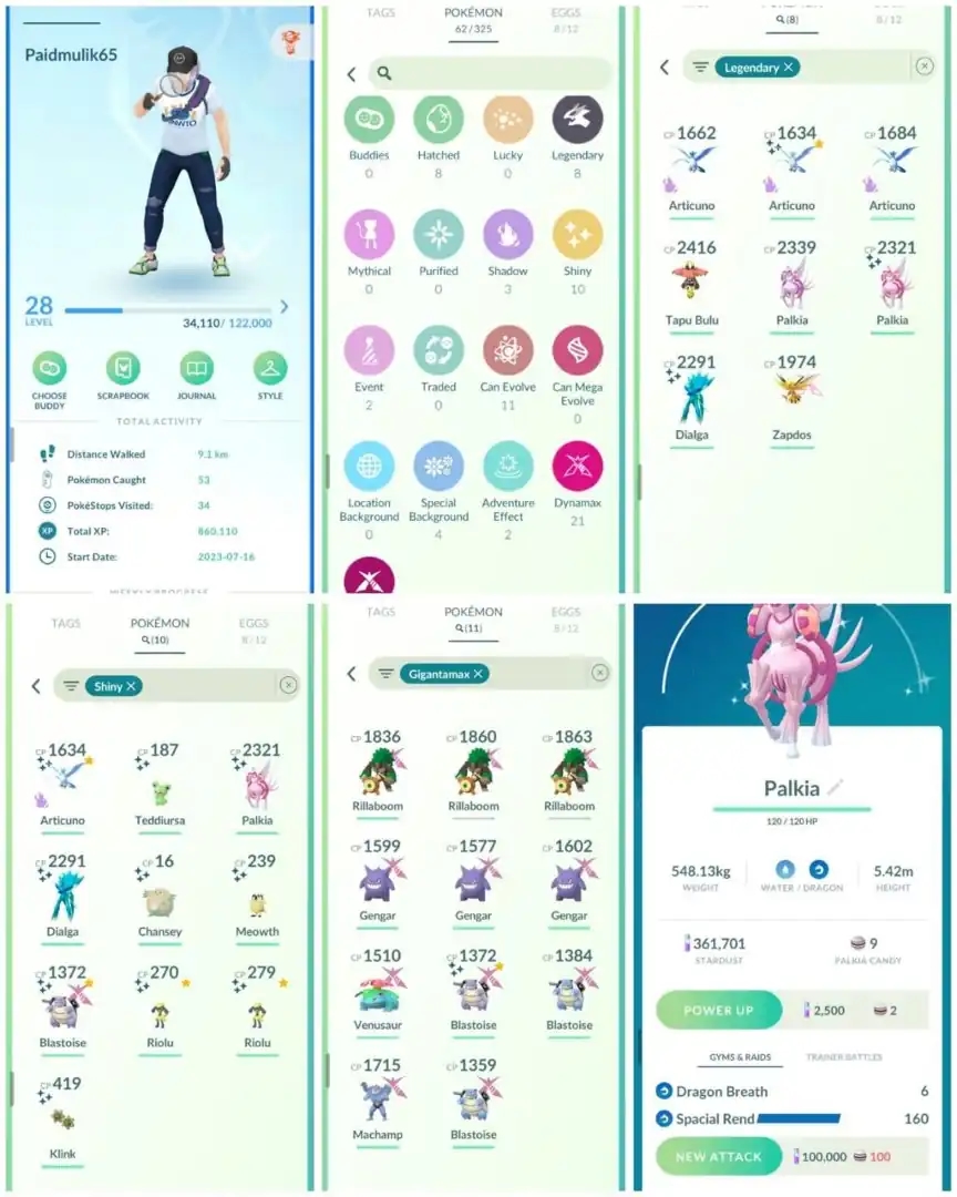 R23 | Level28 | 8 Legendary | 10 Shiny | 3 Shiny Legend | Shiny Special Rend Palkia | Shiny Gmax Blastoise | 2 Shiny Riolu |Shiny Dailga | - Global