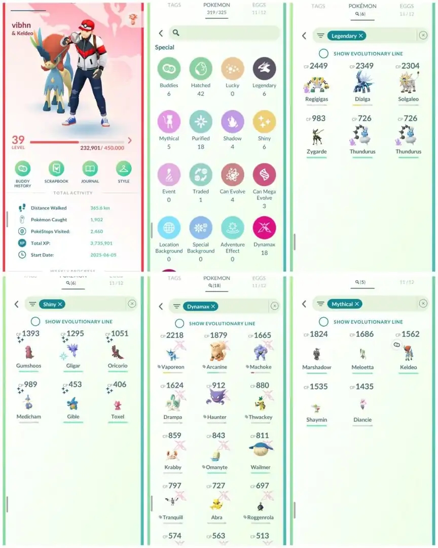 R145 | Level39 | 6 Legendary | 6 Shiny | Solgaleo | Rare Shiny Toxel | 18 Dmax | Marshadow | Keldeo | Mini Account - Global