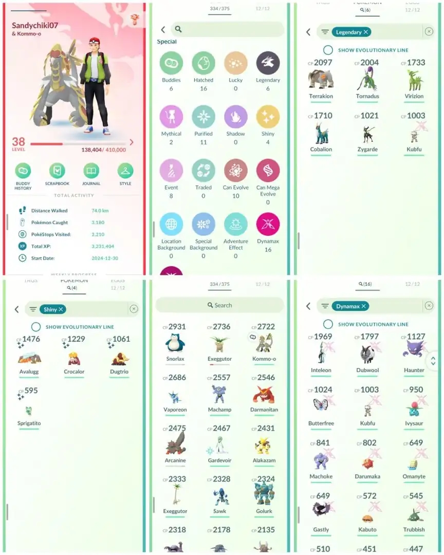 VJ9 | Level38 | 6 Legendary | 4 Shiny | 16 Dmax | 8 Costume Pokemons | Mini Account - Global