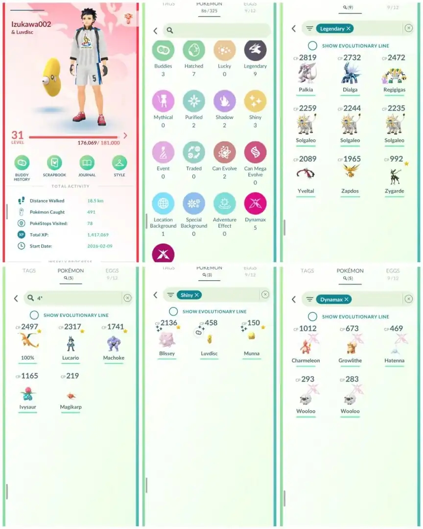 R148 | Level31 | 9 Legendary | 3 Shiny | Hundo Lucario | Shiny Munna | Hundo Charizard | Solgaleo | Zapdos | Dailga | Mini Account - Global