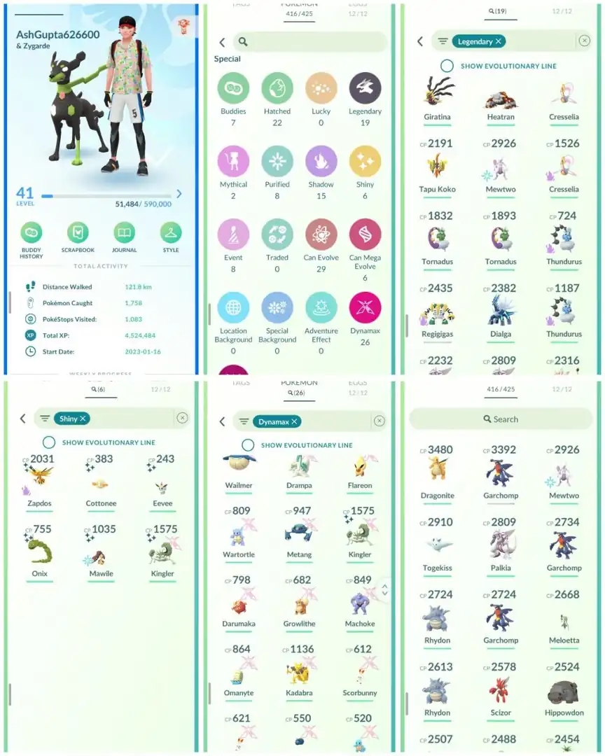 R150 | Level41 | 19 Legendary | 2.9K Cp Mewtwo | High Cp Pokemons | Dragonite | Garchomp | Shiny Dmax Kingler | Shiny Onix | Shiny Shadow - Global