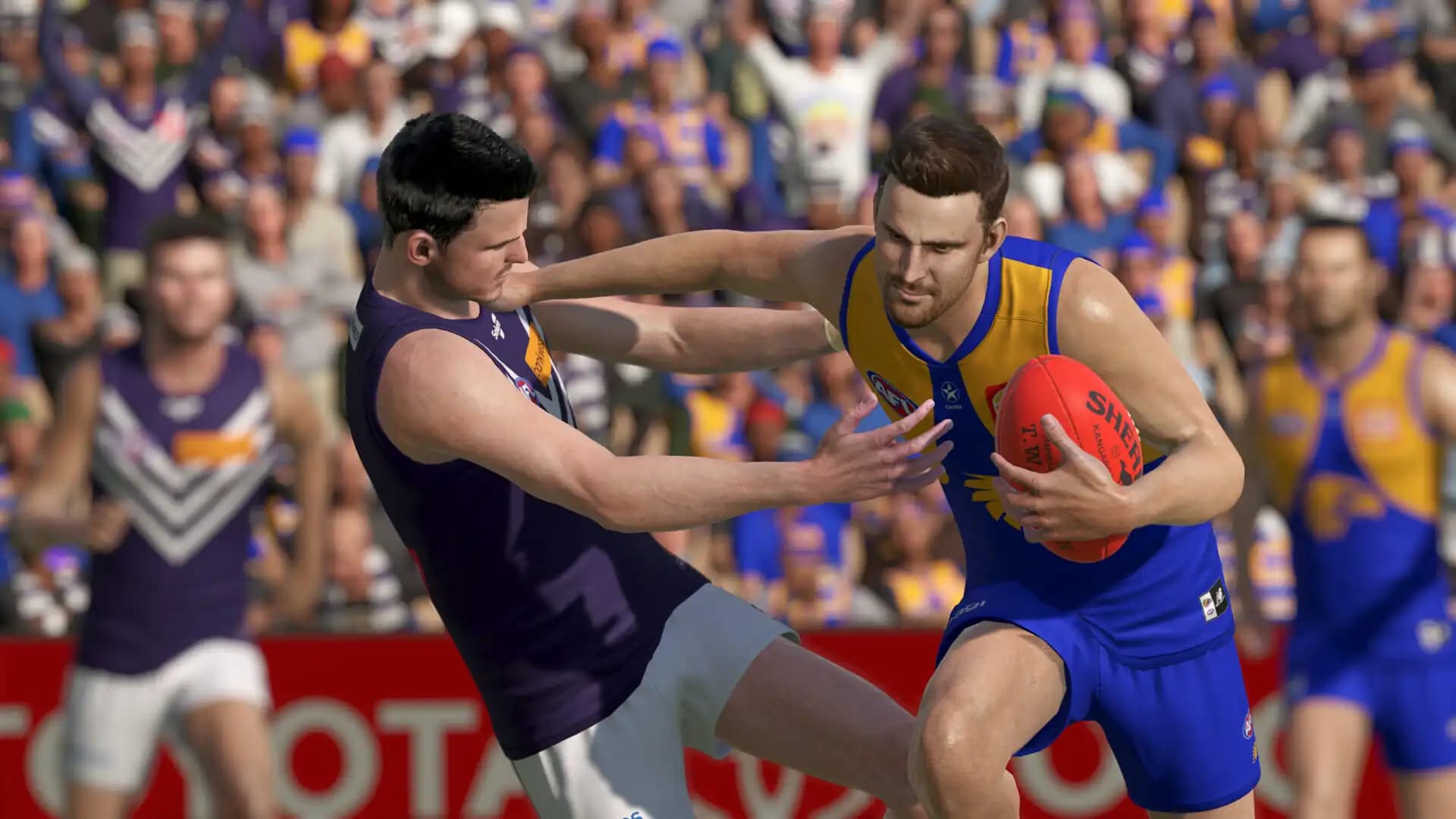 AFL 23 media 2