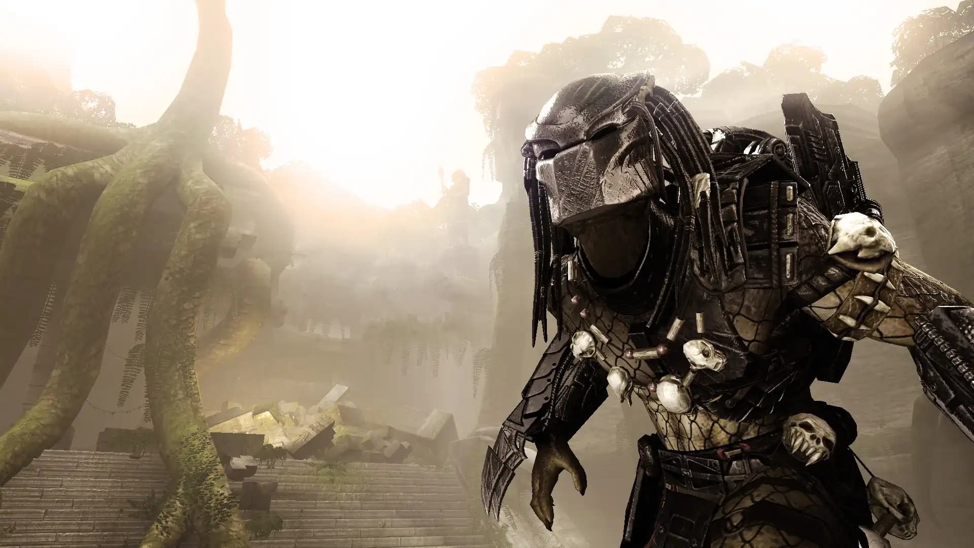 Aliens VS Predator Collection media 2