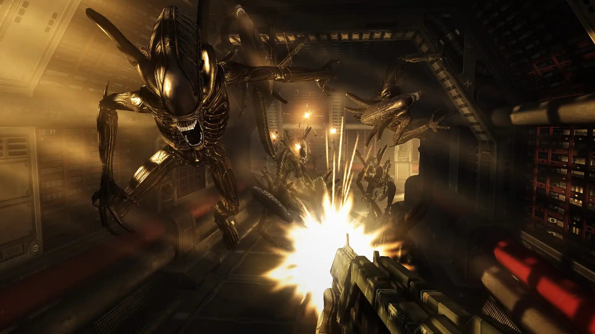 Aliens VS Predator Collection media 3