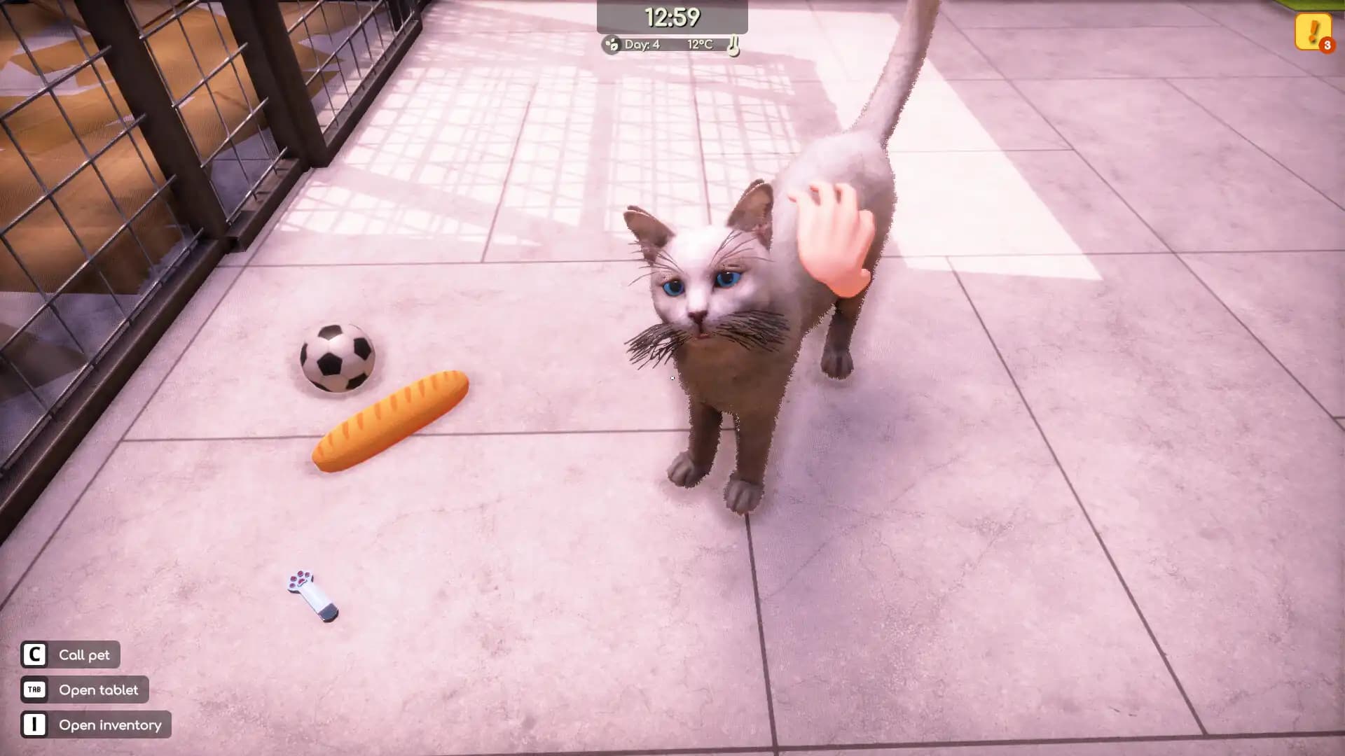 Animal Shelter 2 media 2