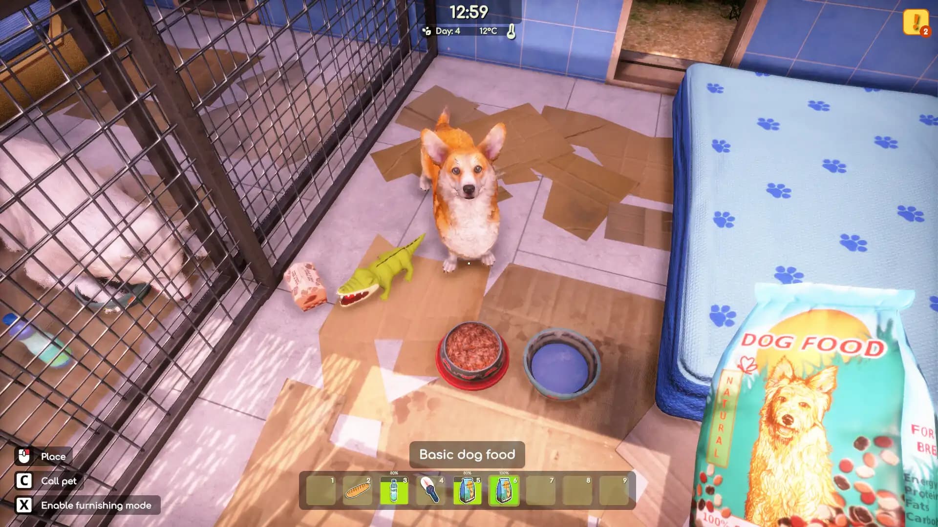 Animal Shelter 2 media 3
