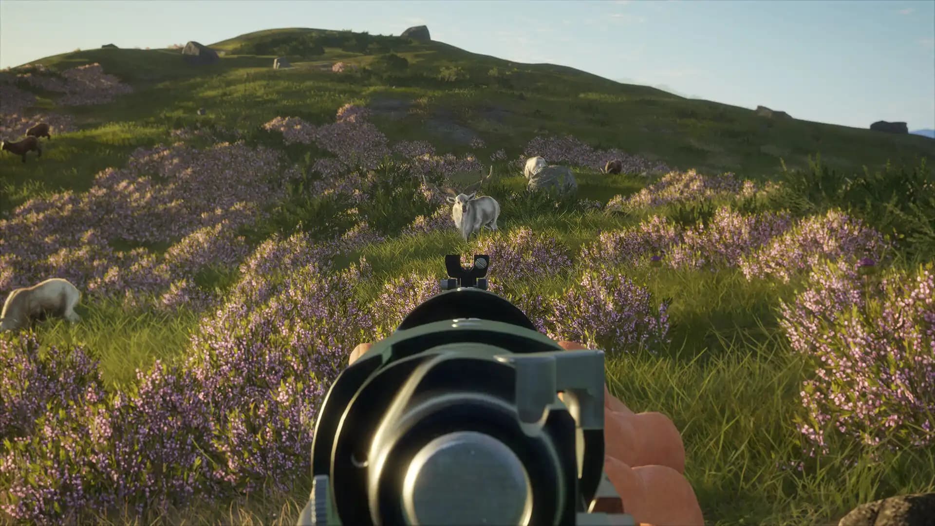 theHunter: Call of the Wild - Multi-Class Weapon Pack media 2
