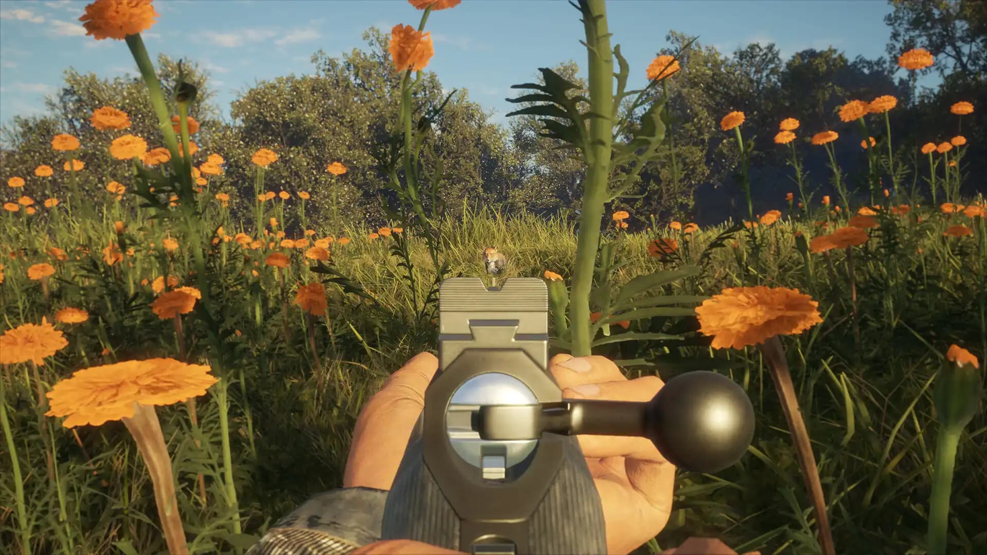 theHunter: Call of the Wild - Multi-Class Weapon Pack media 4