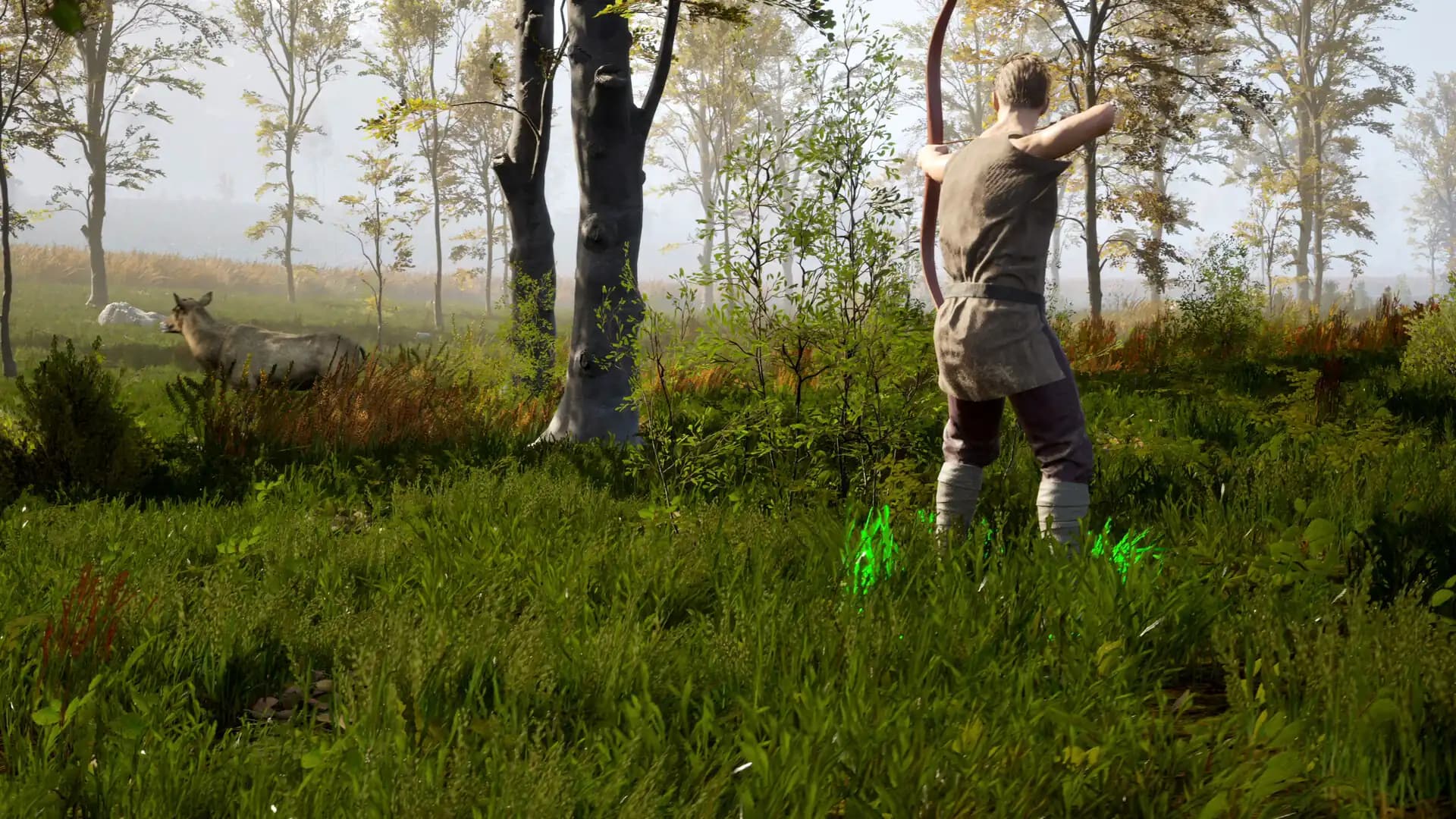 Valorborn media 5