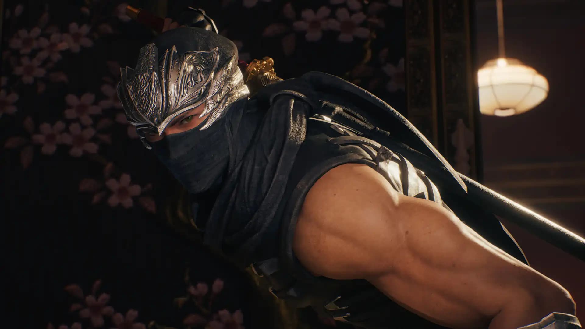 Ninja Gaiden 2 Black media 4