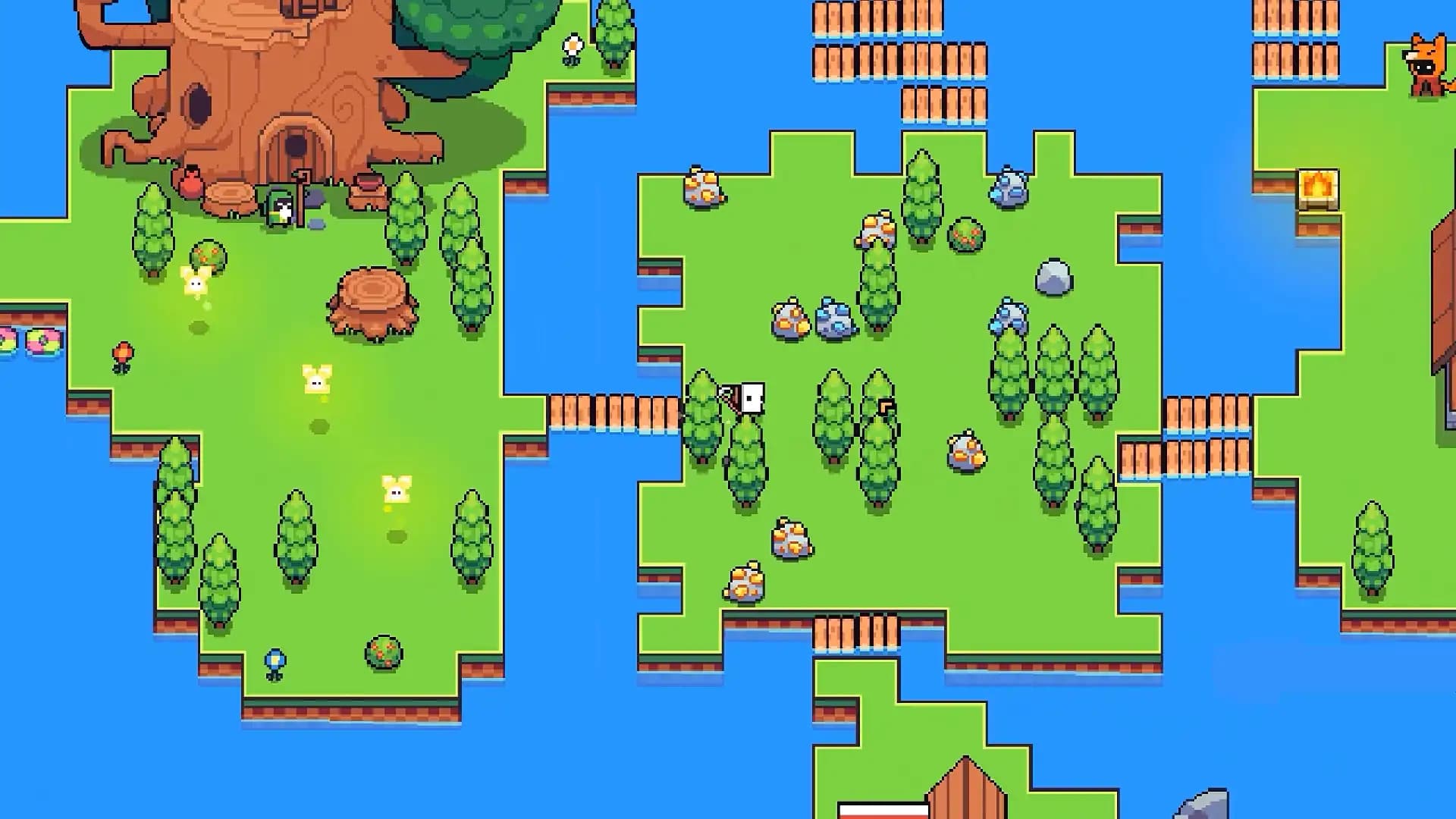 Forager media 1