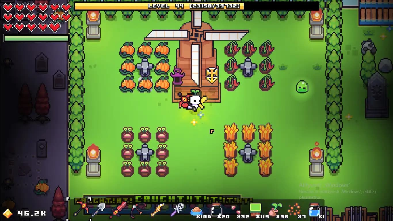 Forager media 2
