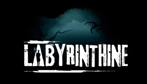 Labyrinthine cover