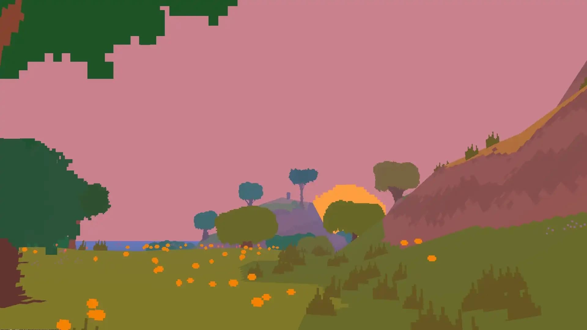 Proteus media 4