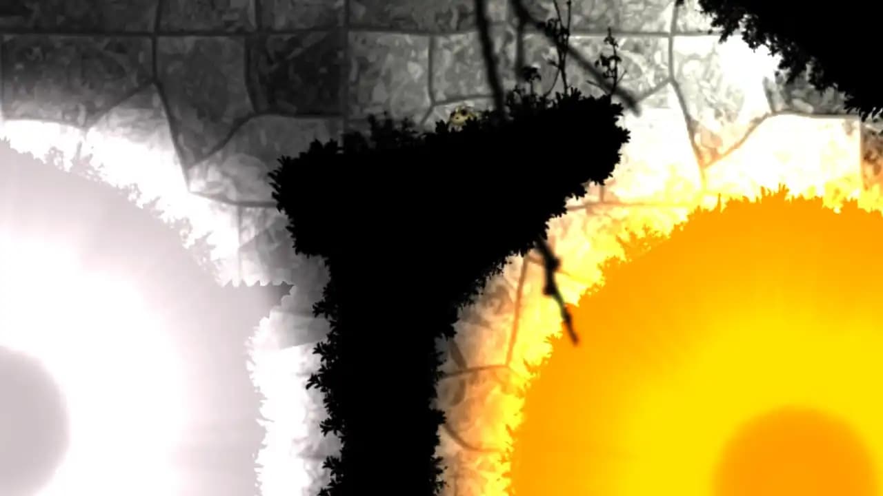 Grimind media 5