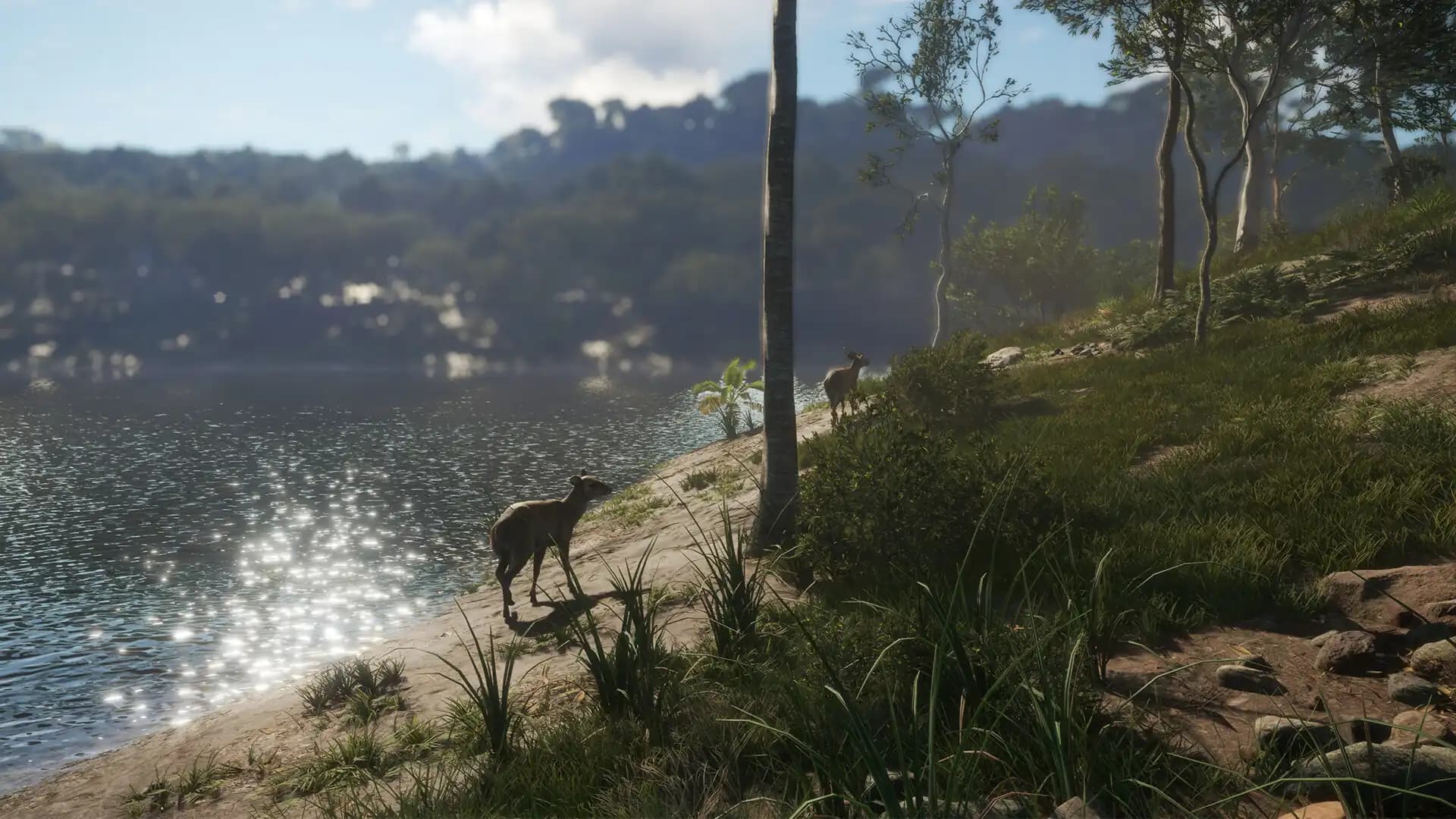 theHunter: Call of the Wild - Emerald Coast Australia media 5