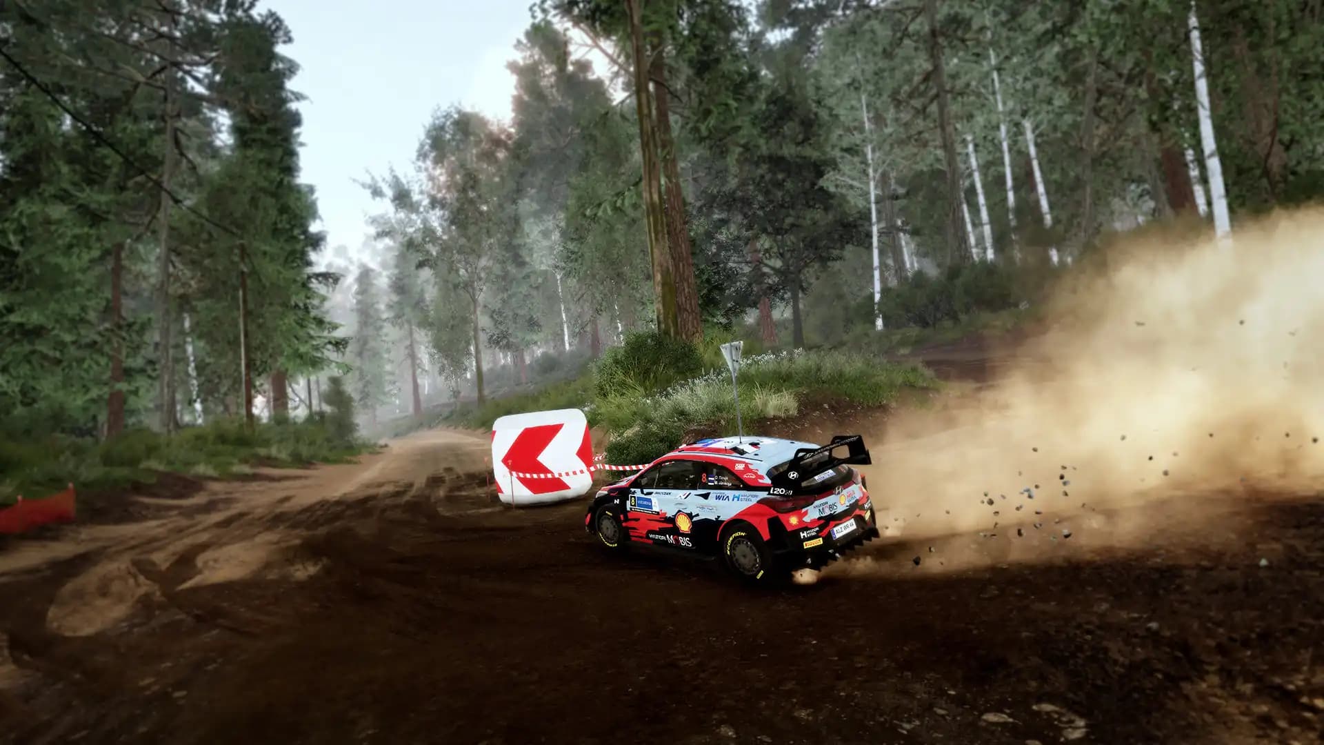 WRC 10: FIA World Rally Championship media 5