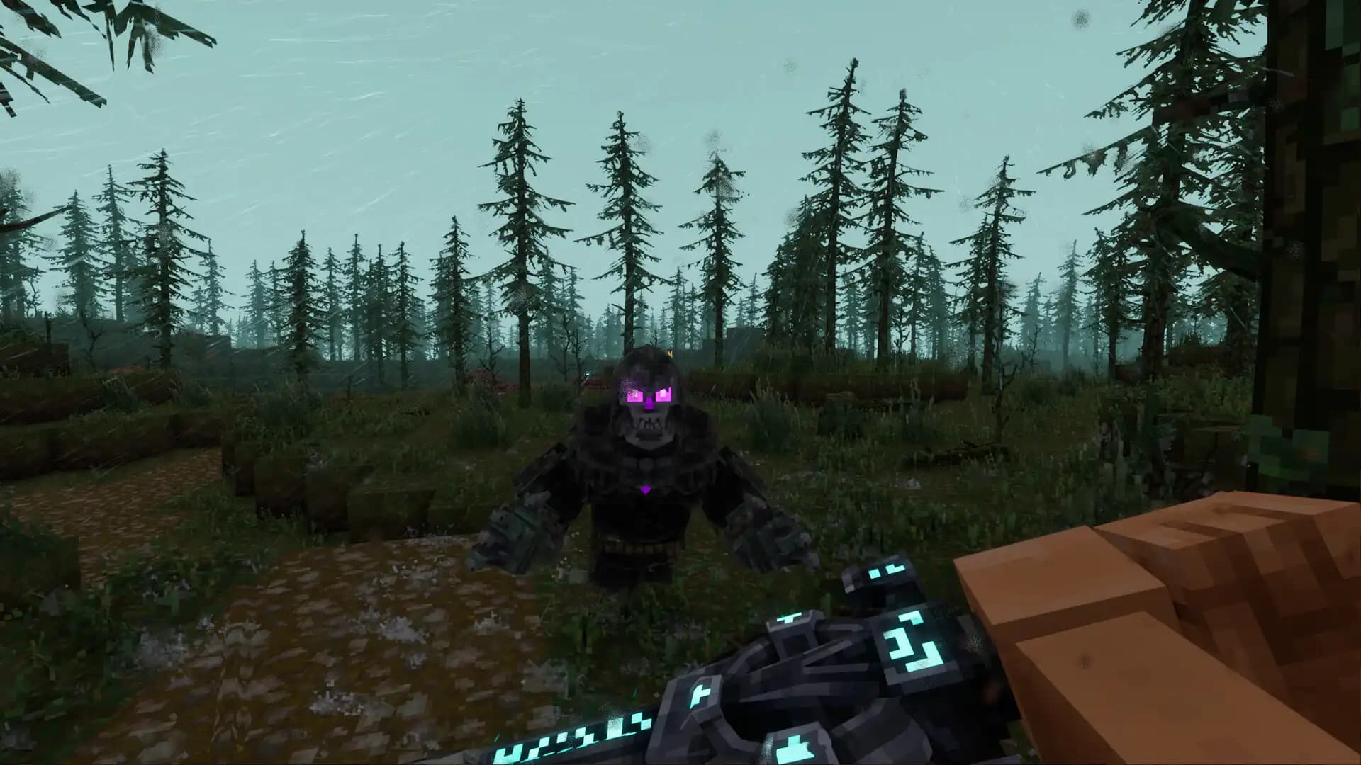Everwind media 3