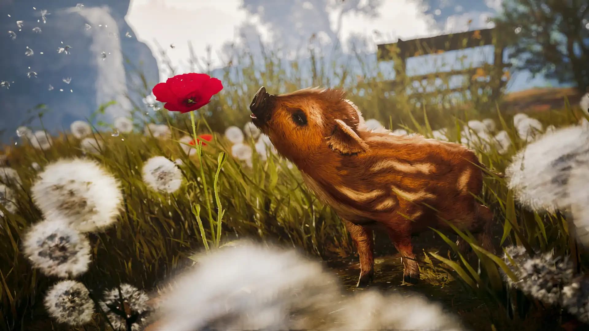 Adorable Adventures media 1