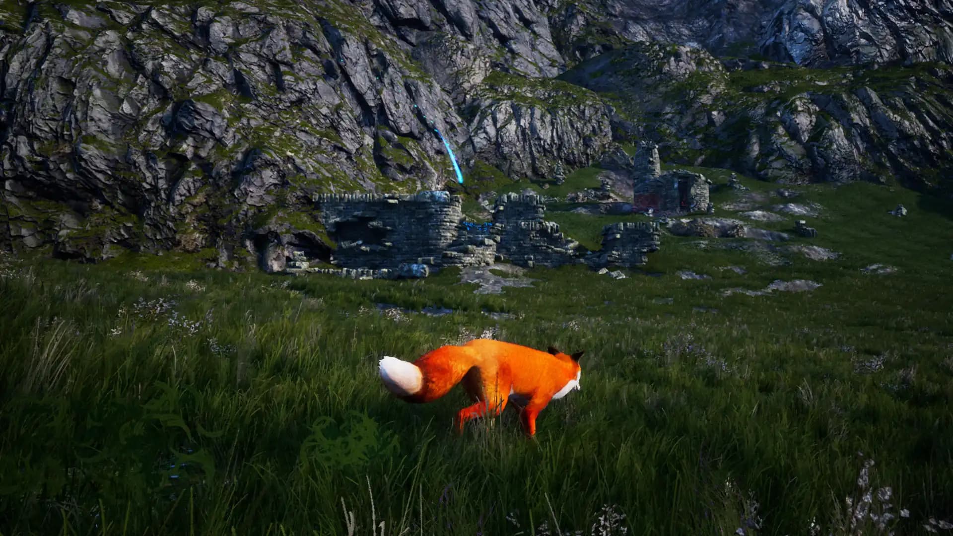 Spirit of the North media 5