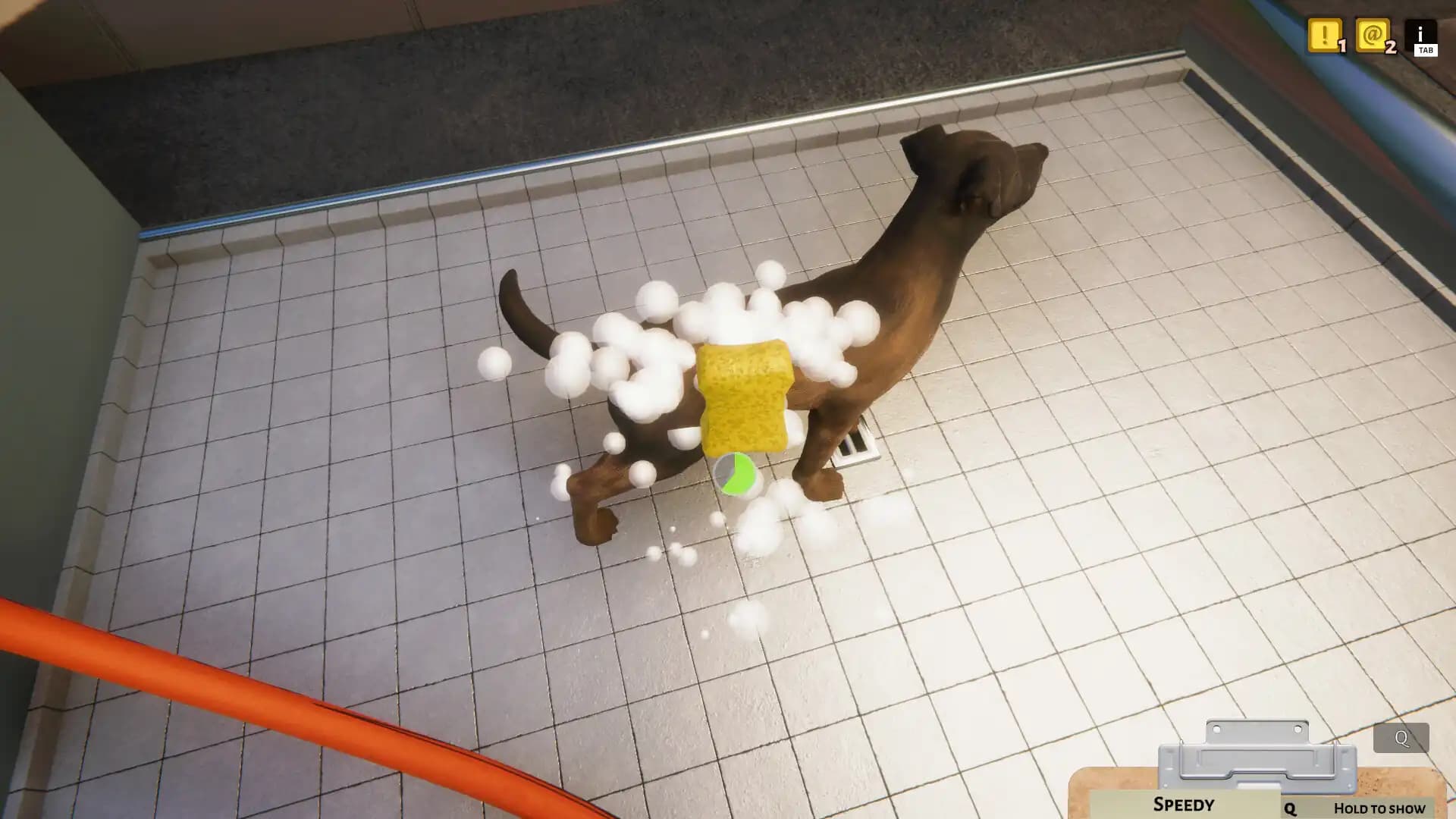 Animal Shelter media 2