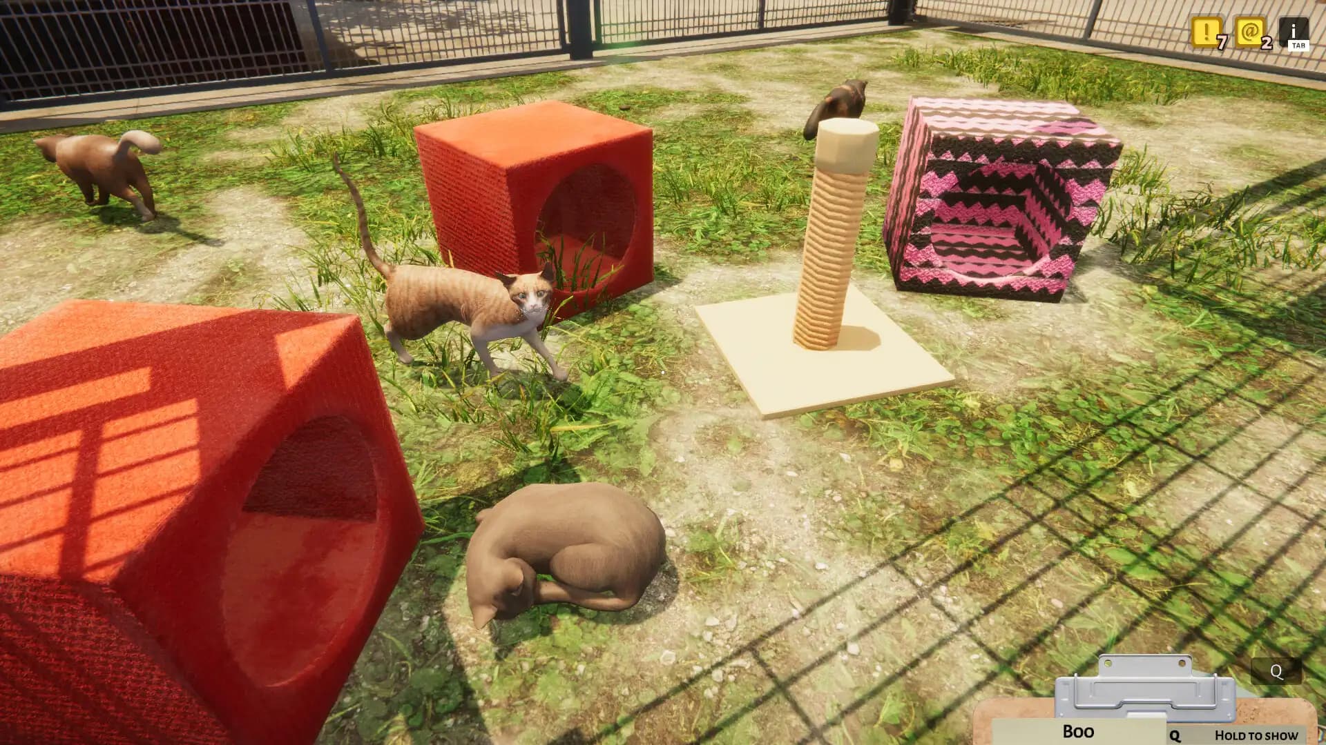 Animal Shelter media 4