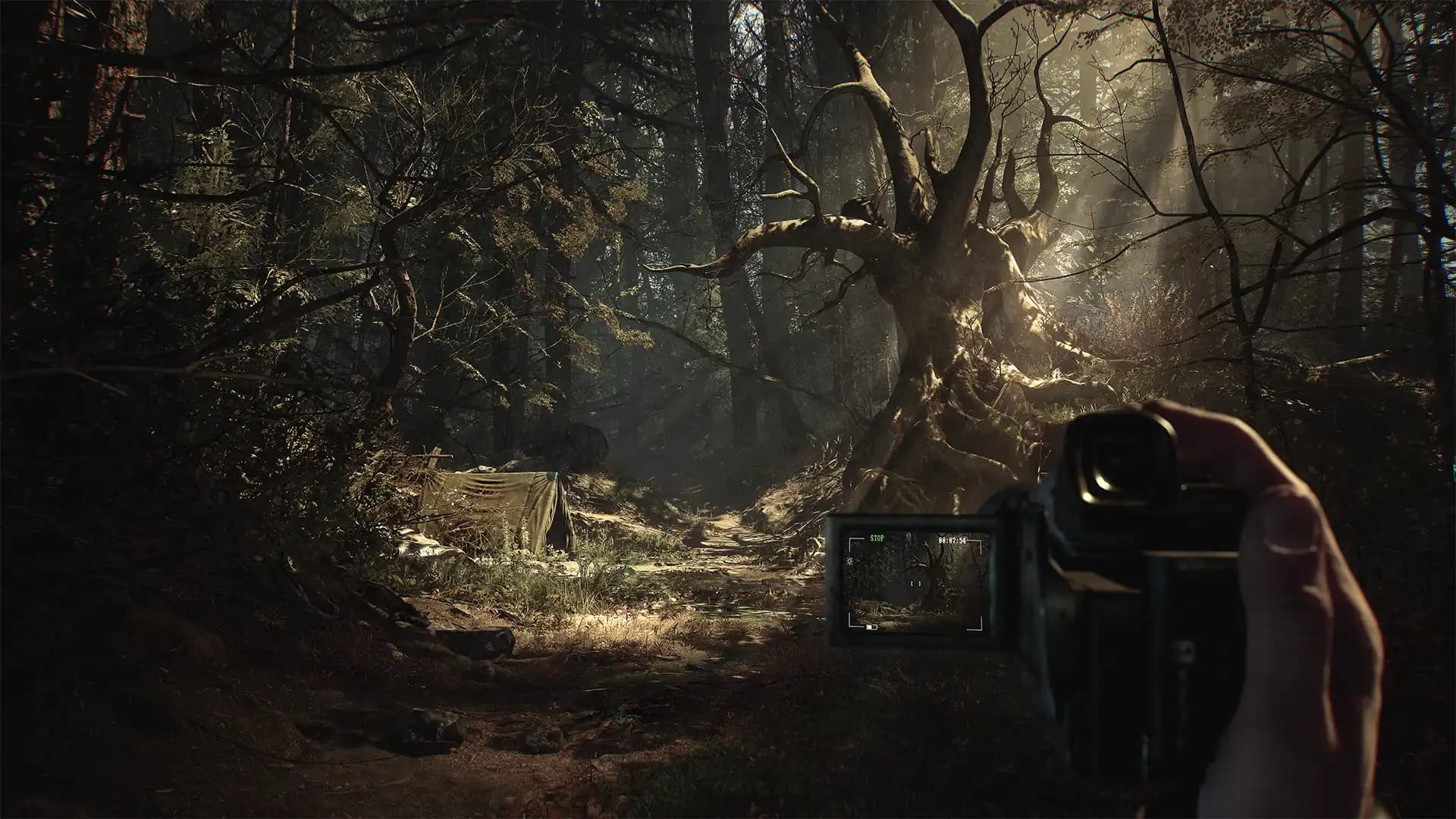 Blair Witch media 1
