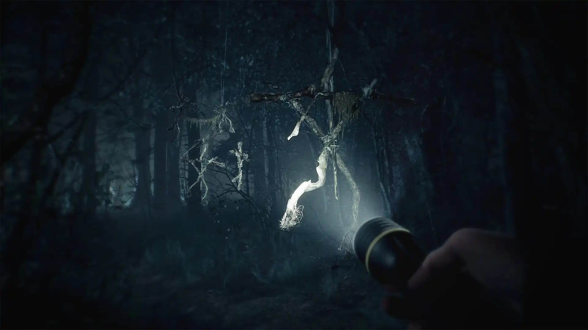 Blair Witch media 3