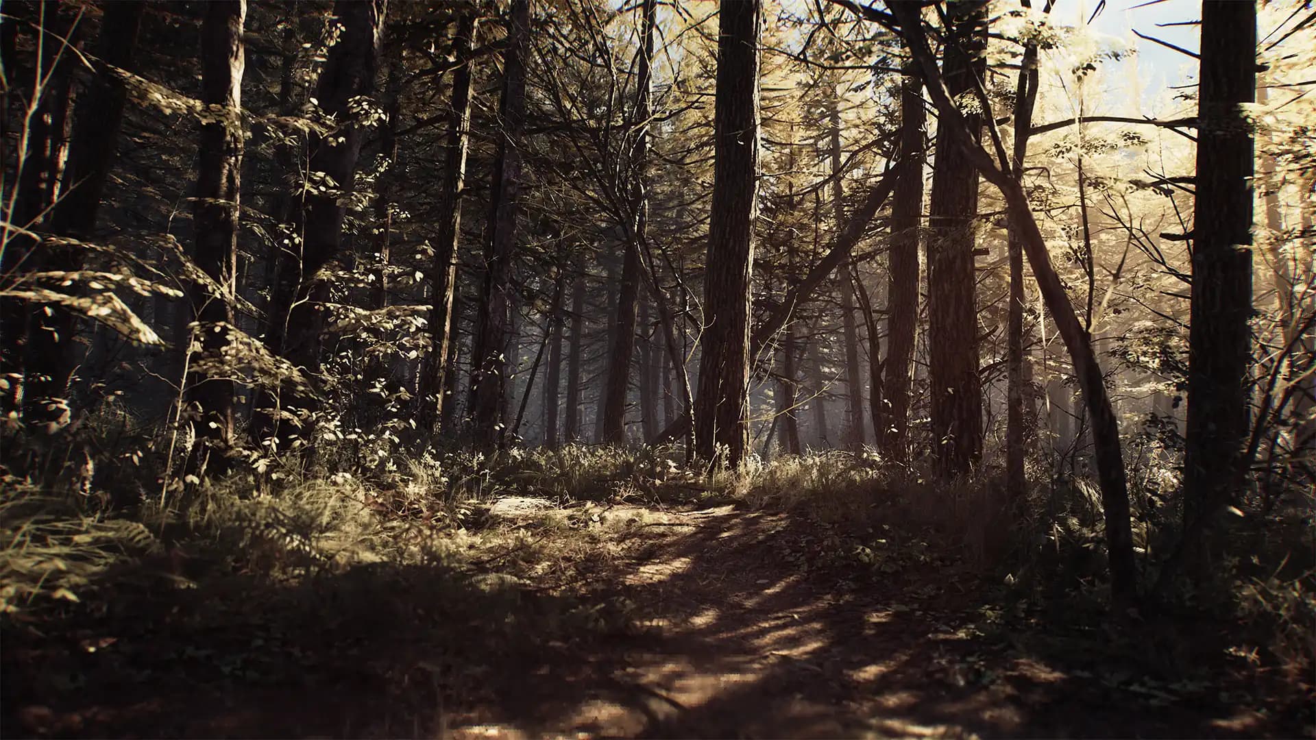 Blair Witch media 4