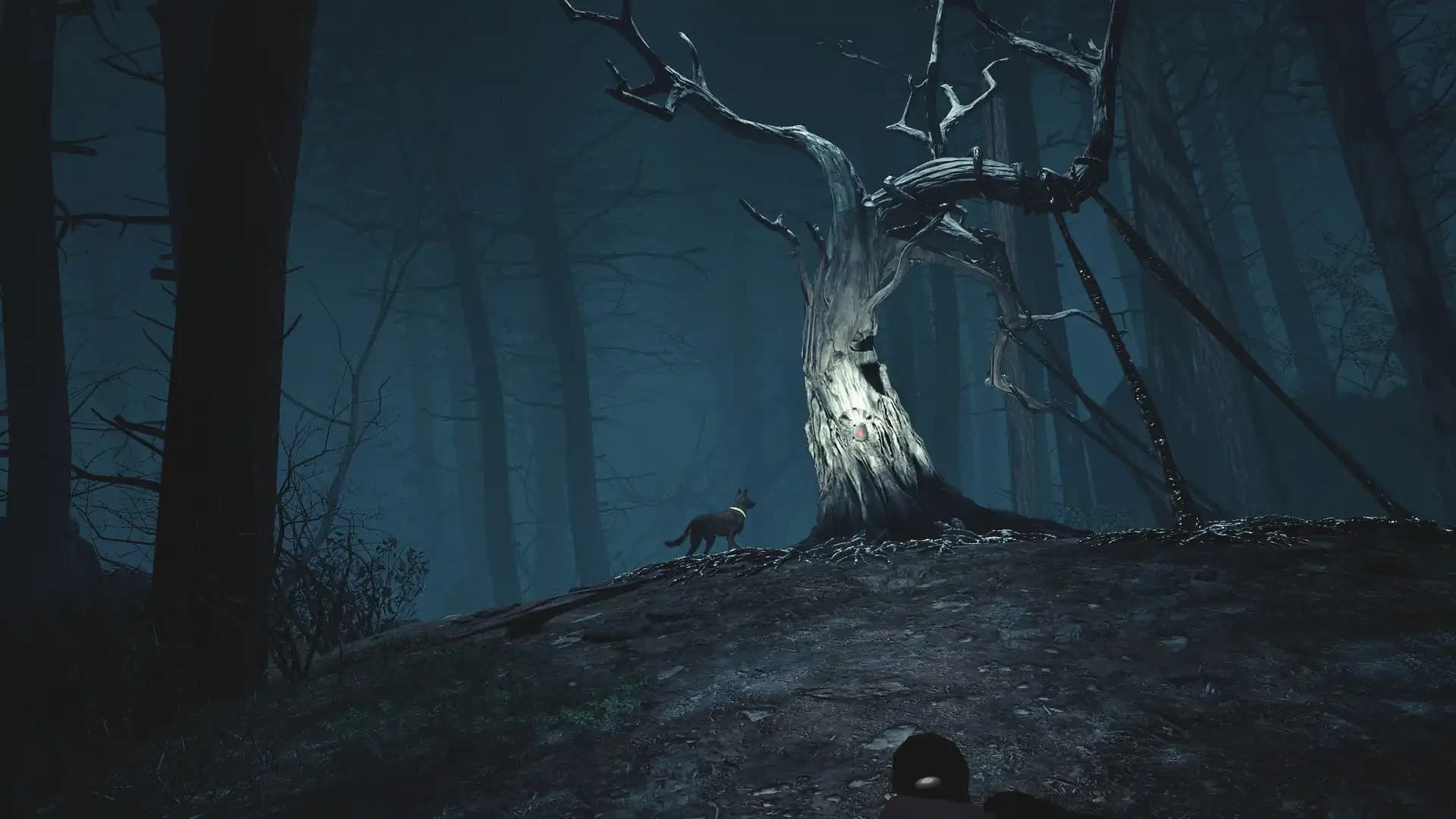 Blair Witch VR media 4