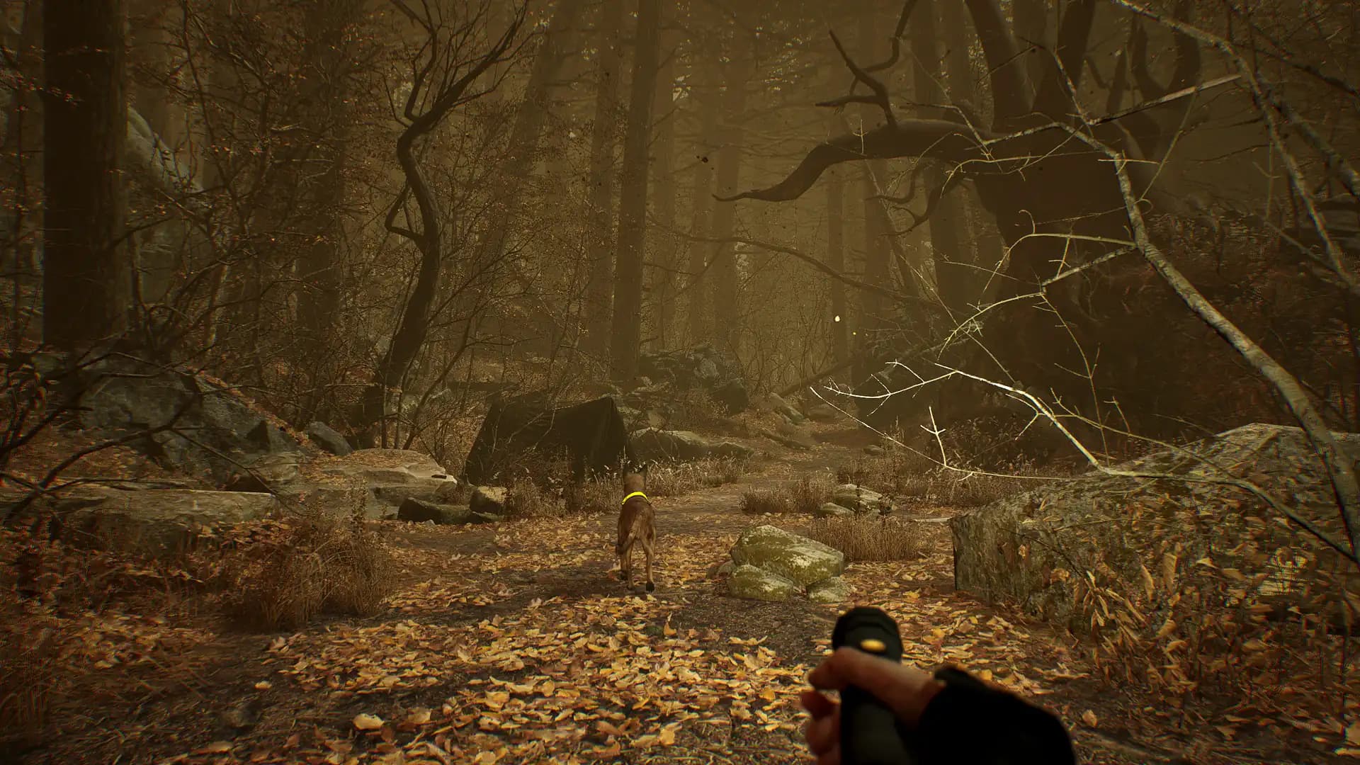 Blair Witch VR media 5