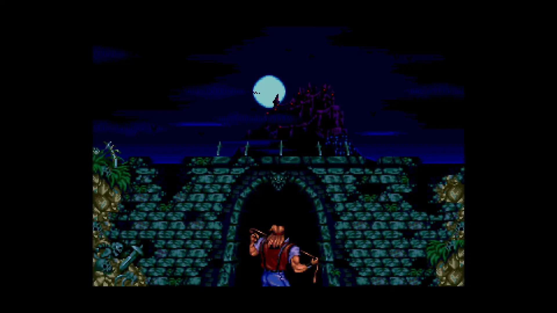 Castlevania Anniversary Collection media 1