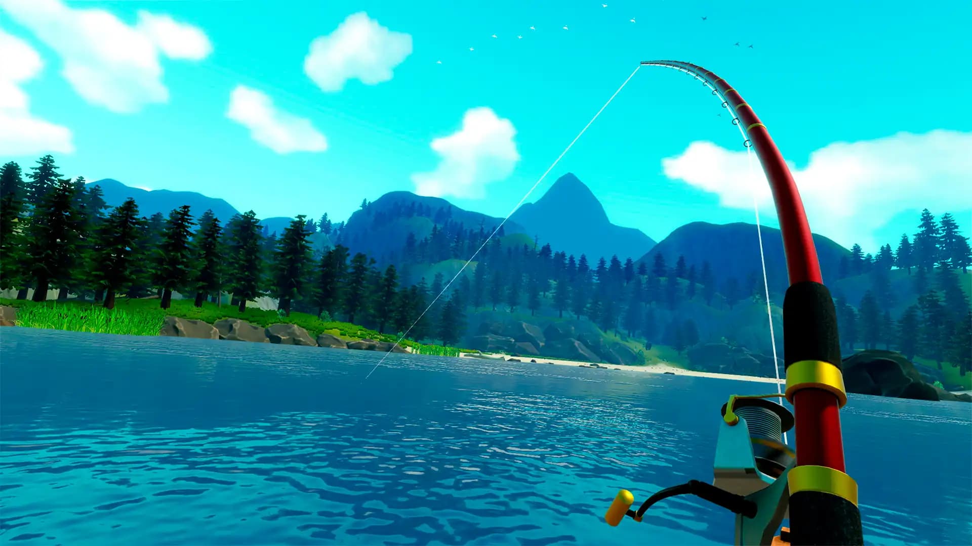 Catch & Release media 1