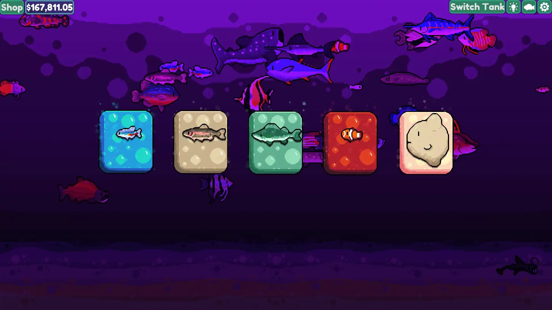 Chillquarium media 5