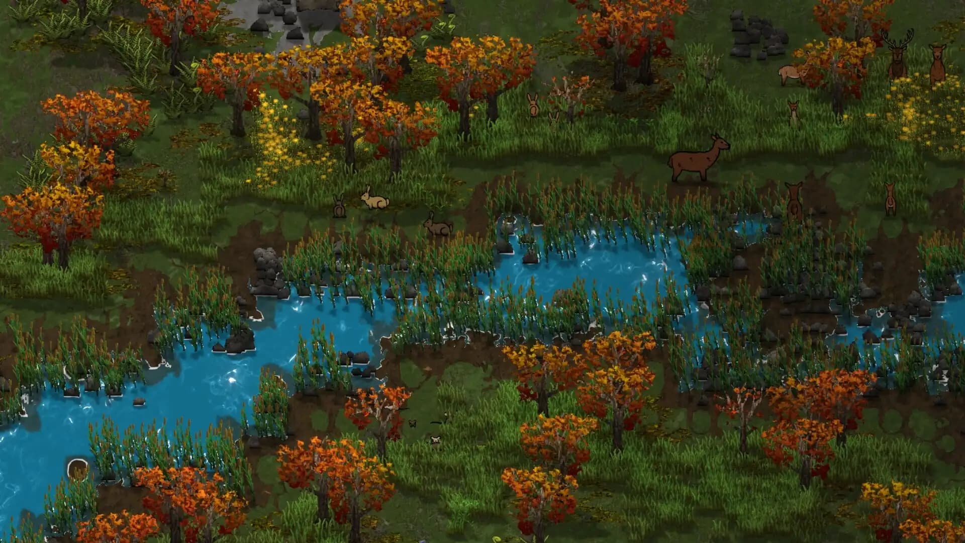Clanfolk media 5