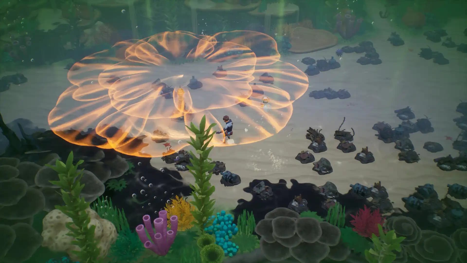 Coral Island media 2