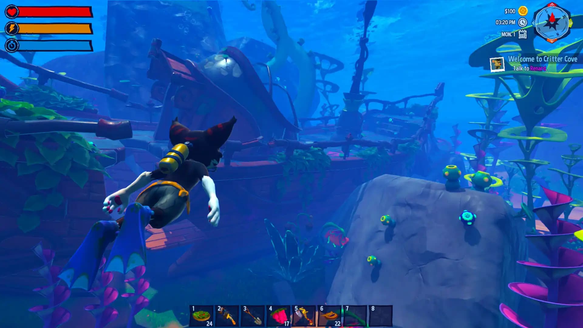 Critter Cove media 1