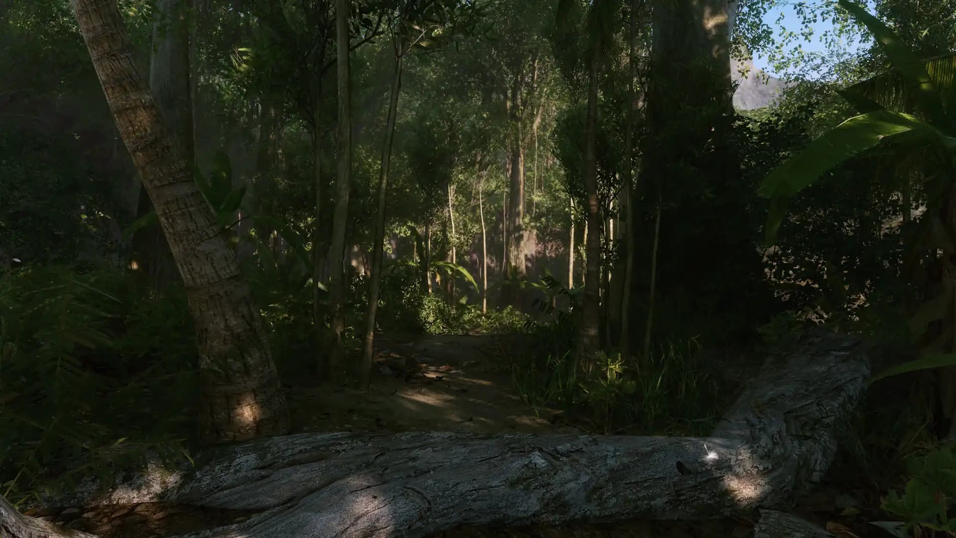 Crysis Remastered media 4