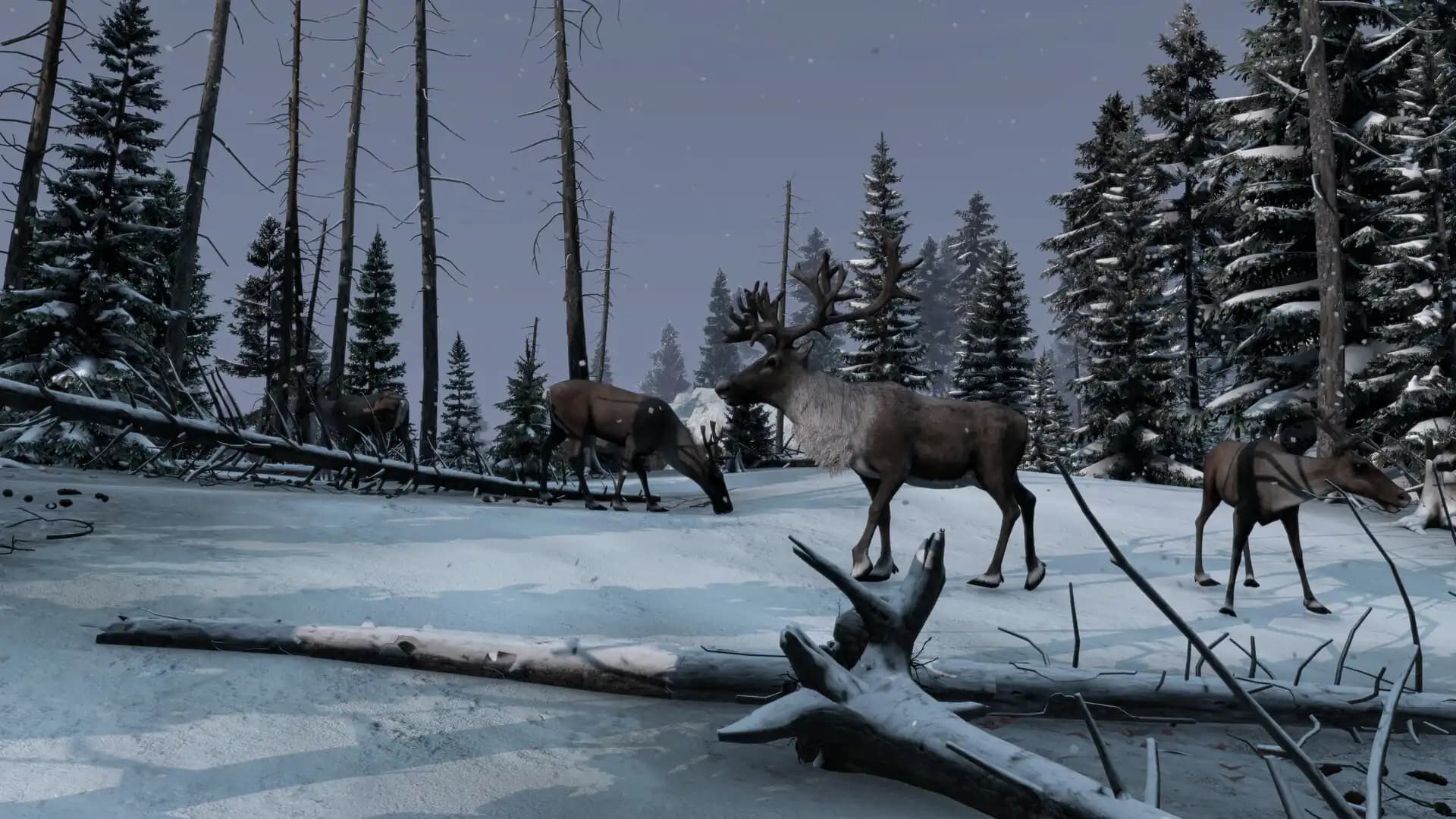 DayZ Frostline media 5