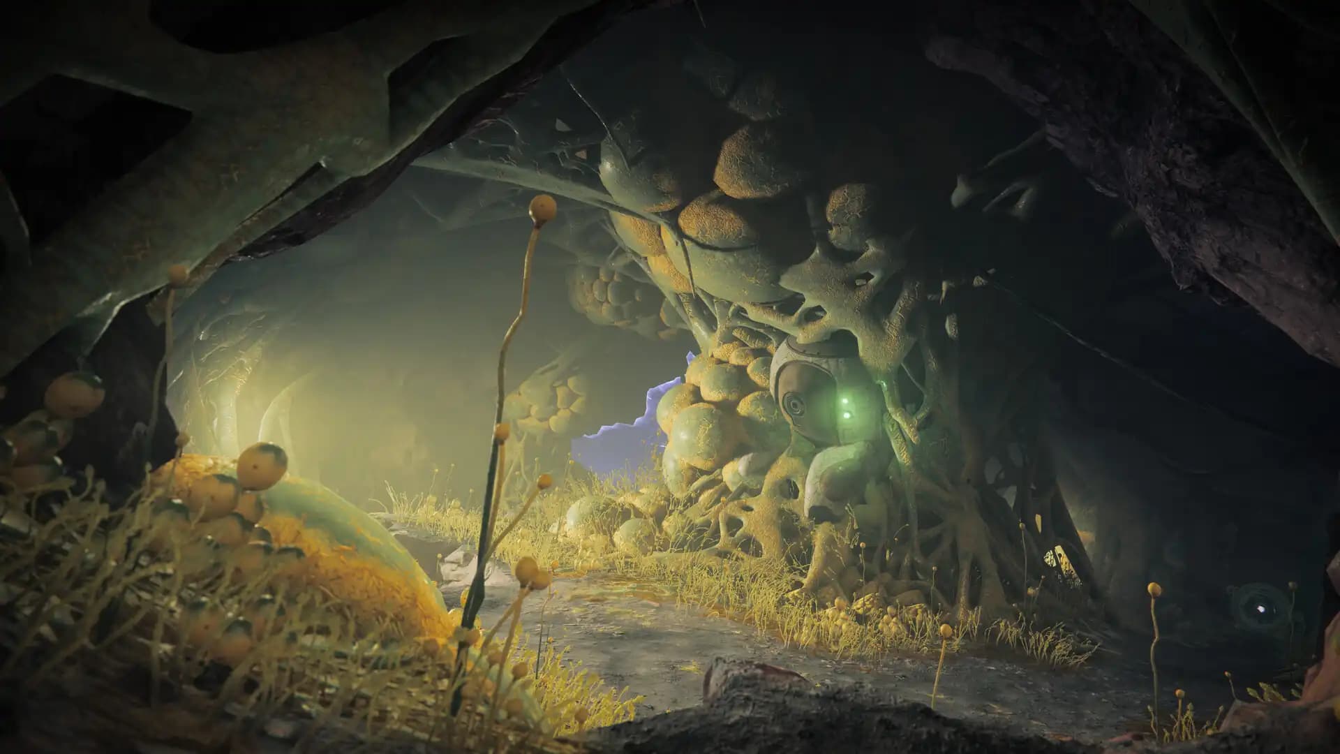 Destiny 2: The Edge of Fate media 3