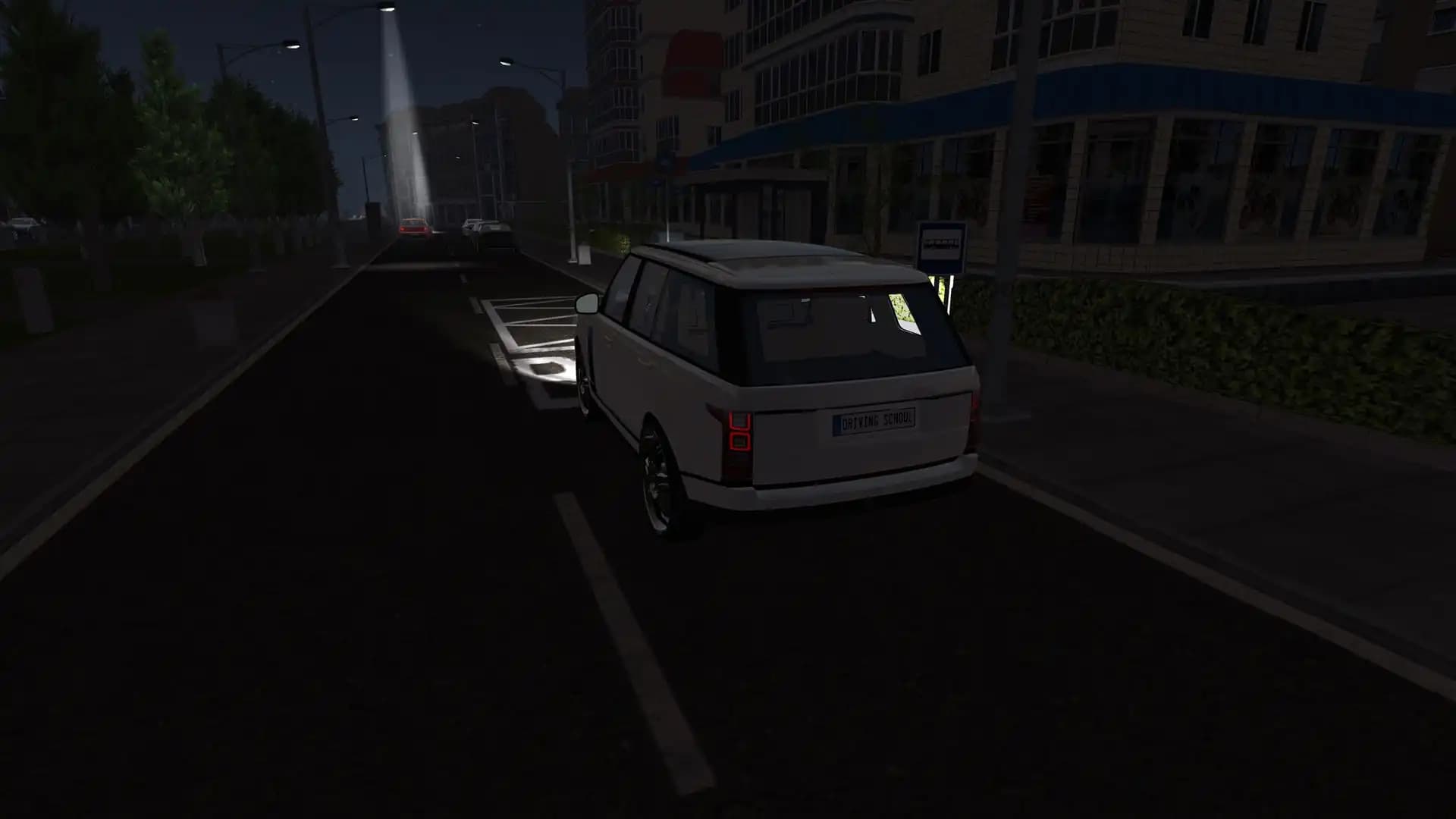 Driving School Simulator media 2