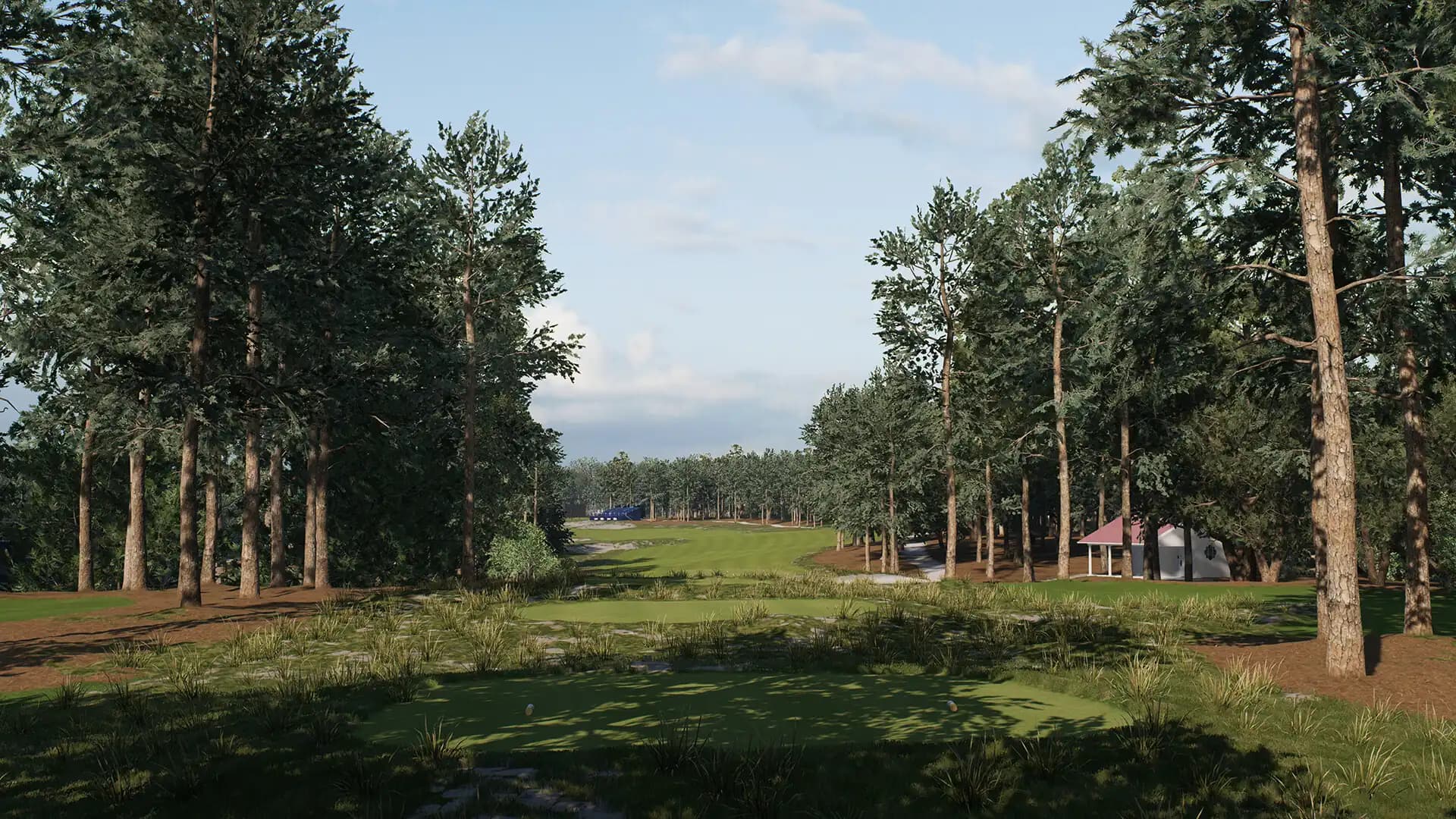 EA Sports PGA Tour media 3